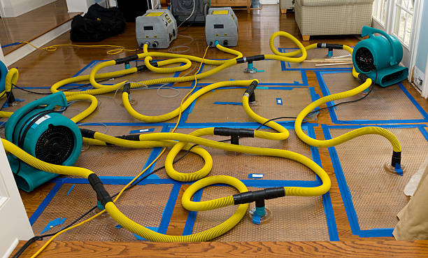 Professional Crawl Space Water Removal technician working in West Lebanon, NY